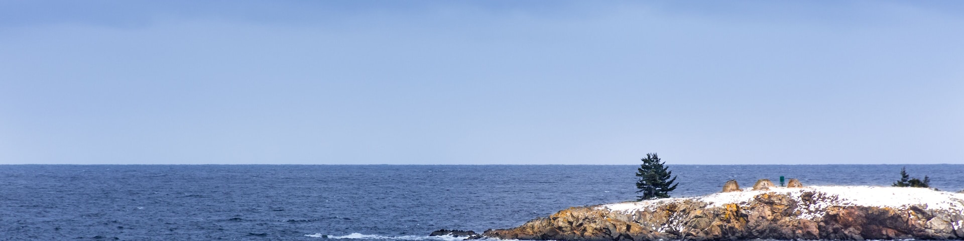 Lone pine tree on rocky peninsula off the Maine coast in winter. Storm clouds and snow.