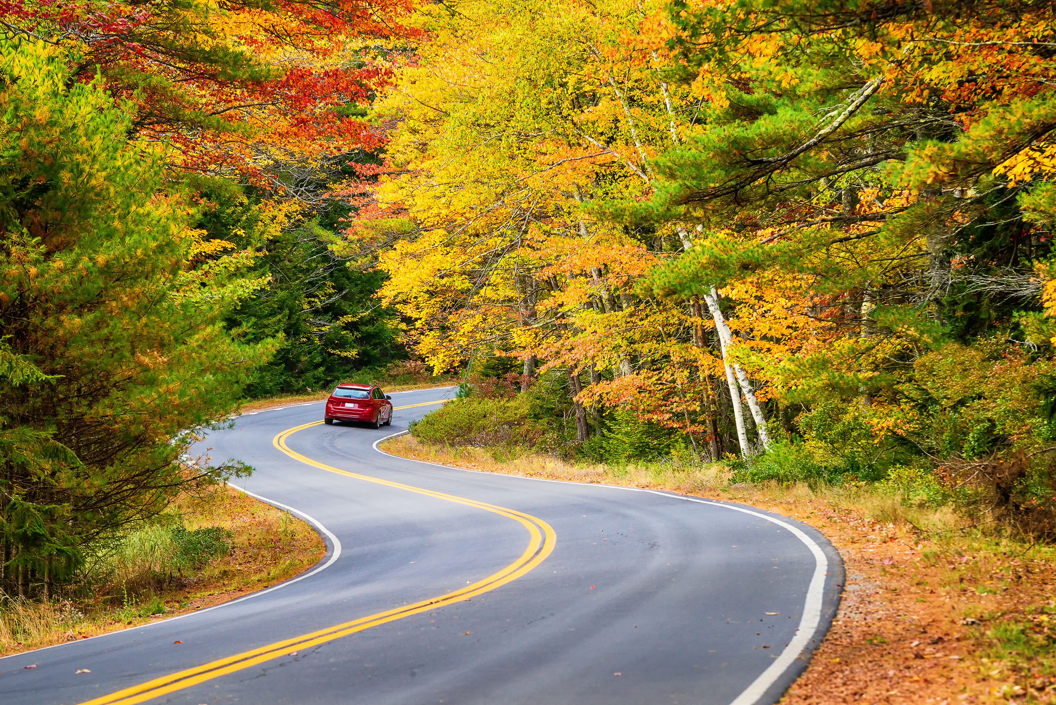 A winding road through a forest with autumn foliage.