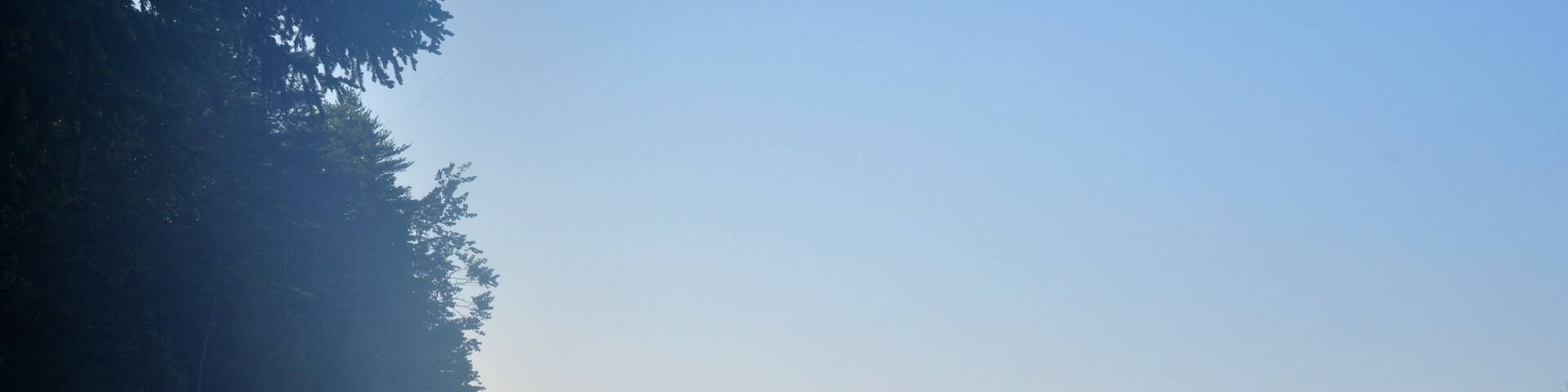 Lone Man Standing Over Misty Maine Ocean Inlet