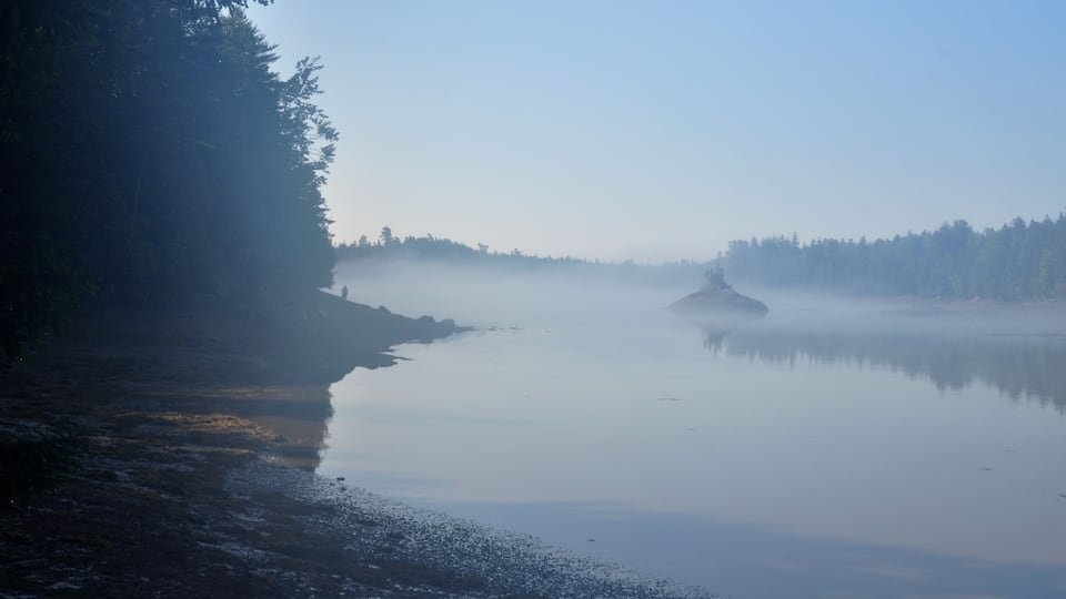 A calm lake with a forested shoreline and a misty atmosphere.