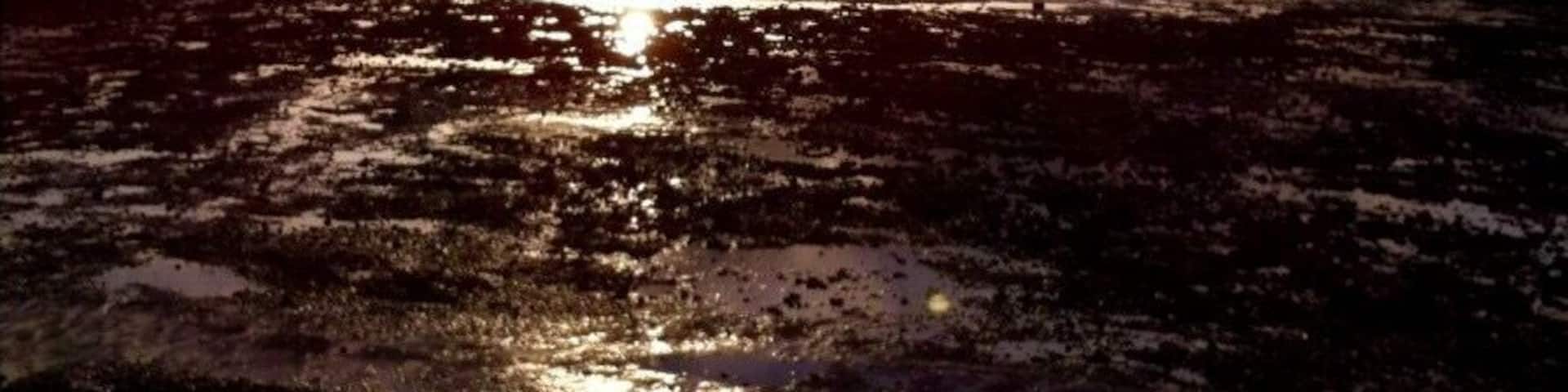 At ruins of the abbey