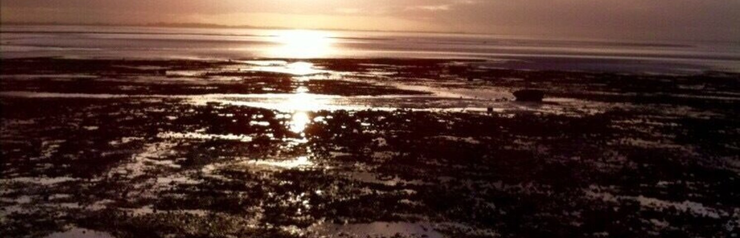 At ruins of the abbey