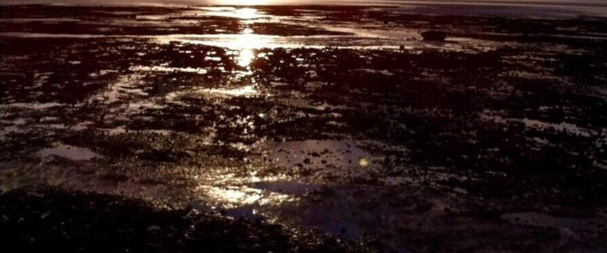 A sunset over a wet landscape with reflections on the water.