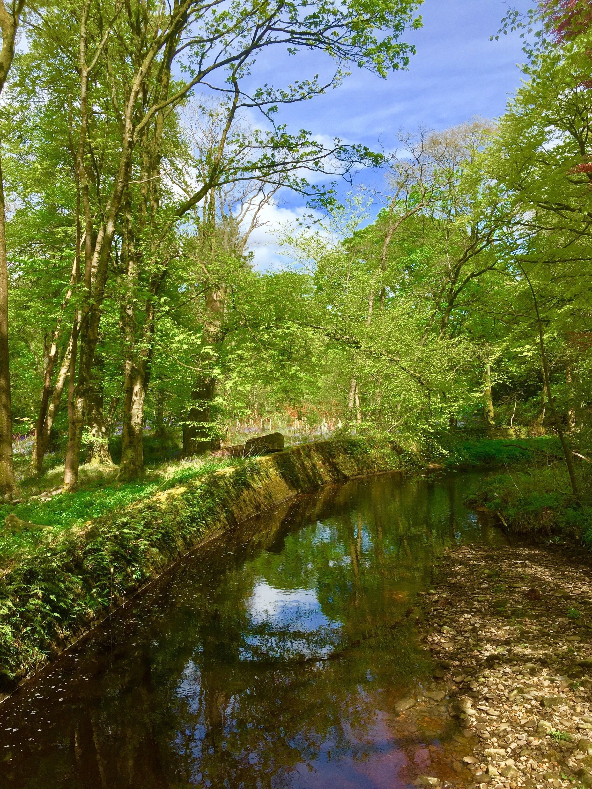 The River Wyre at Abbeystead. Park at Stoops Bridge to walk through woodland and around the reservoir to the dam.