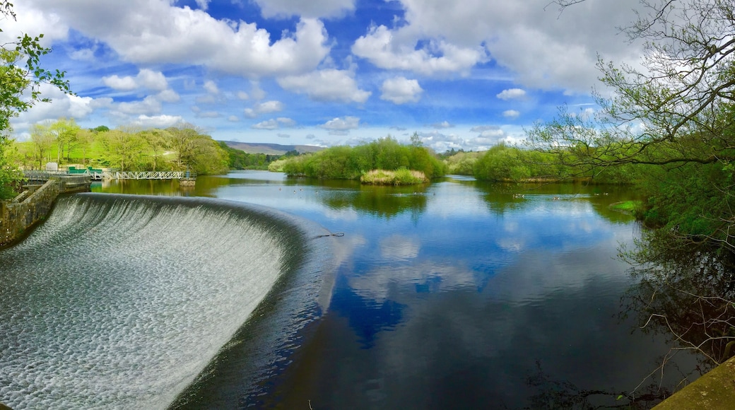 The River Wyre at Abbeystead. Park at Stoops Bridge to walk through woodland and around the reservoir to the dam.
