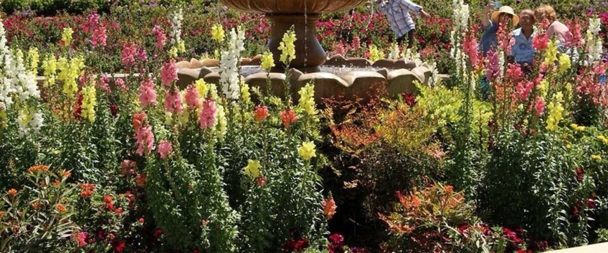 A garden with a multi-tiered fountain and a tractor in the background.