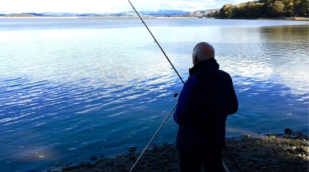 It's a waiting game as usual for the fish at Arnside! #arnside #cumbria