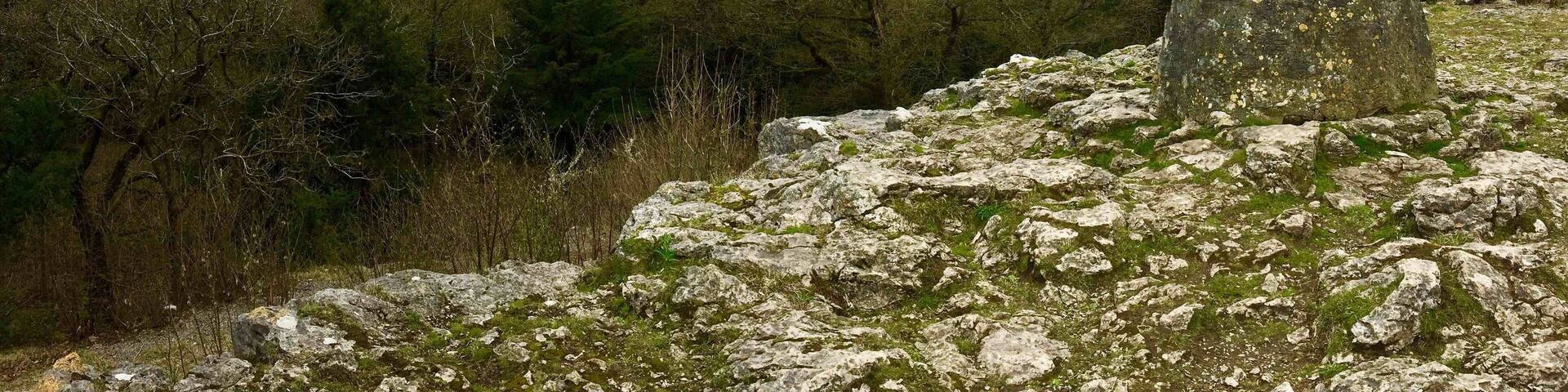 The Pepperpot was built in 1857 to commemorate Queen Victoria’a Golden Jubilee. It overlooks the village of Silverdale with views out over Morecambe Bay. Walk through Eaves Wood to reach it but be ready to get lost en route on the myriad of woodland paths.
