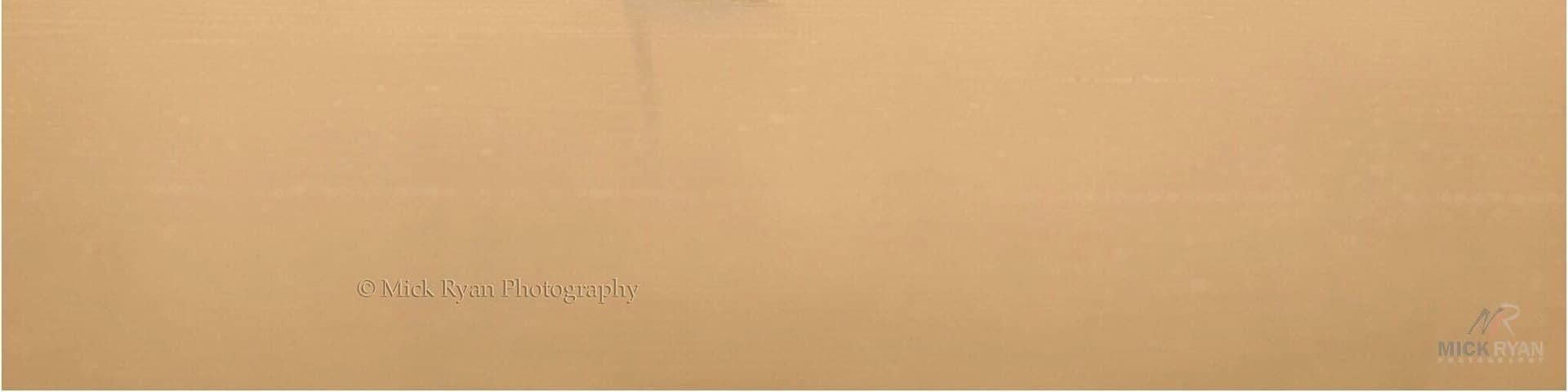 Dawn is a favourite time of mine especially in spring when the sun hits the water creating a mist. On this morning these 3 Mute Swans lined up beautifully for the perfect scene of tranquility.
#wildlife #nature #swans #dawn #daybreak #birds