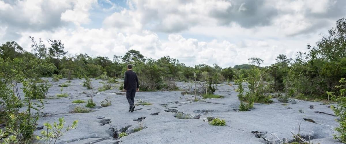 This is the amazing limestone pavement at Gait Barrows National Nature Reserve in Silverdale. You can find rare wild orchids here.
#nature