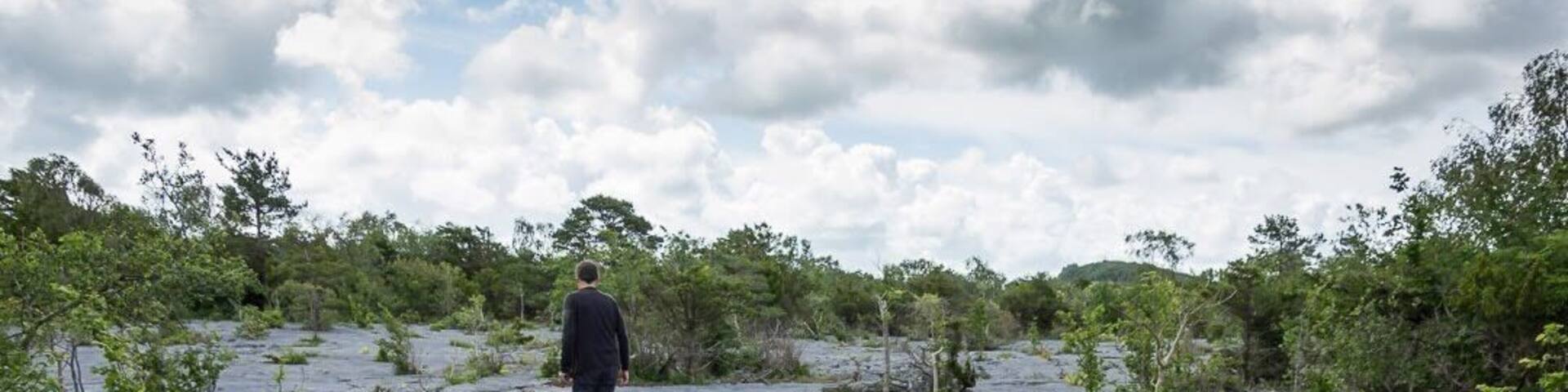 This is the amazing limestone pavement at Gait Barrows National Nature Reserve in Silverdale. You can find rare wild orchids here.
#nature
