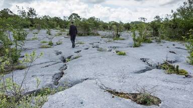 A person walking on a cracked, rocky surface with sparse vegetation.