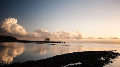 Morning light by the bay