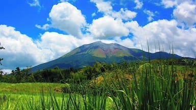 The colorful mouth of Mt Canlaon stands out amidst the #blue background of the sky.
