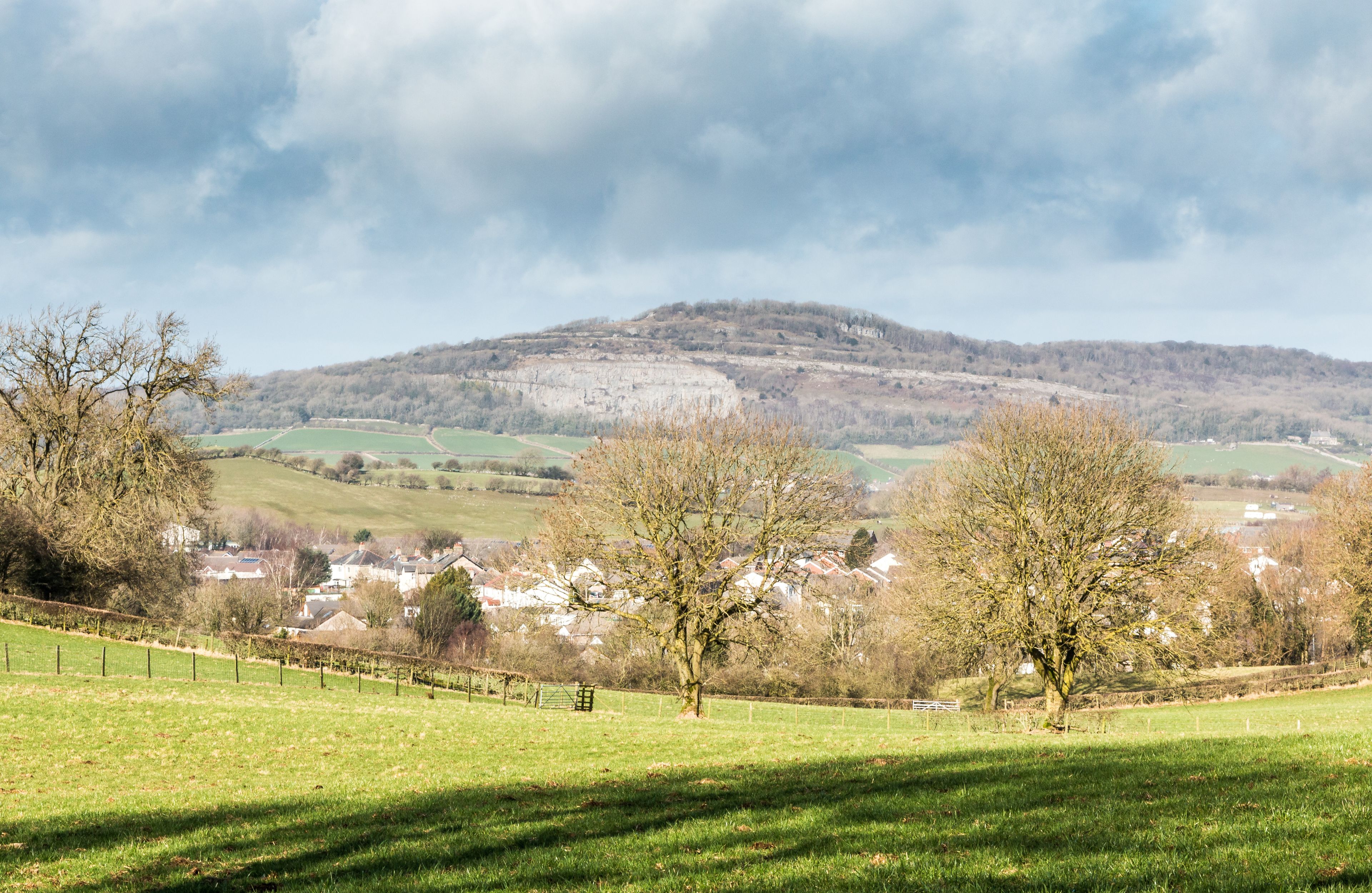 Ländliche Landschaft mit Hügel, Bäumen und einem Dorf.