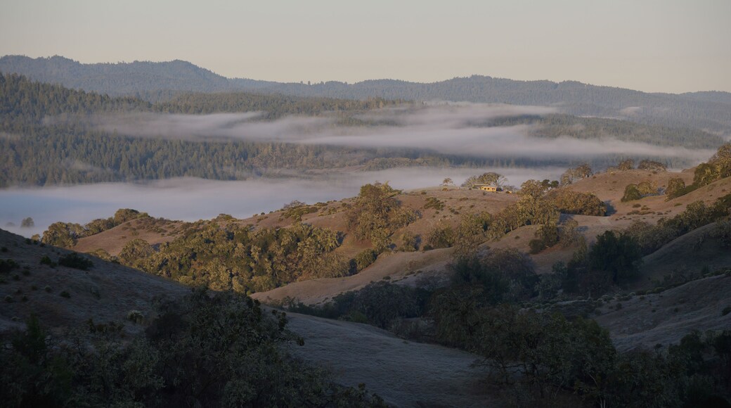 Morning Fog Over Anderson Valley