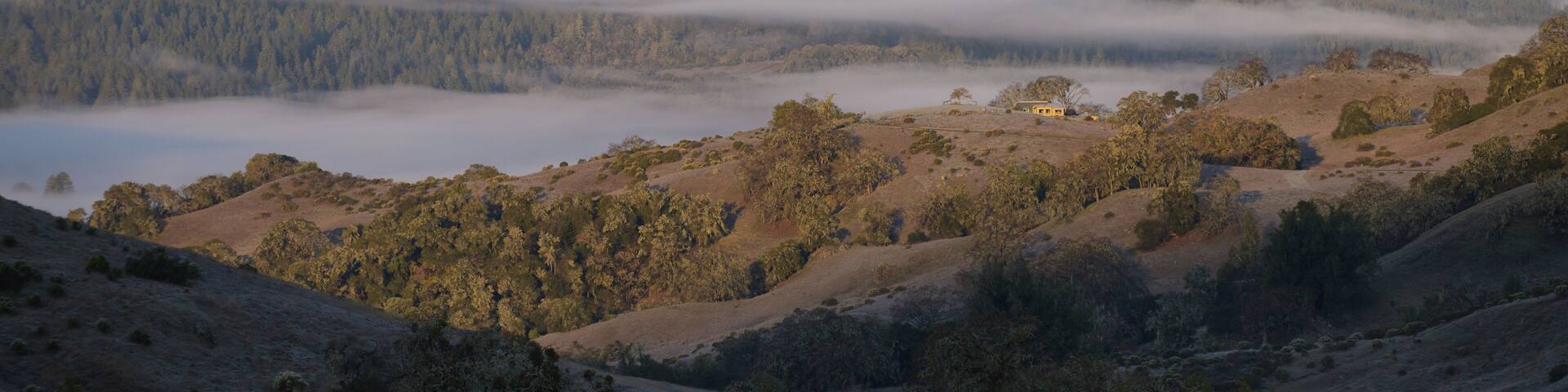 Morning Fog Over Anderson Valley