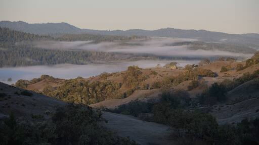 Morning Fog Over Anderson Valley