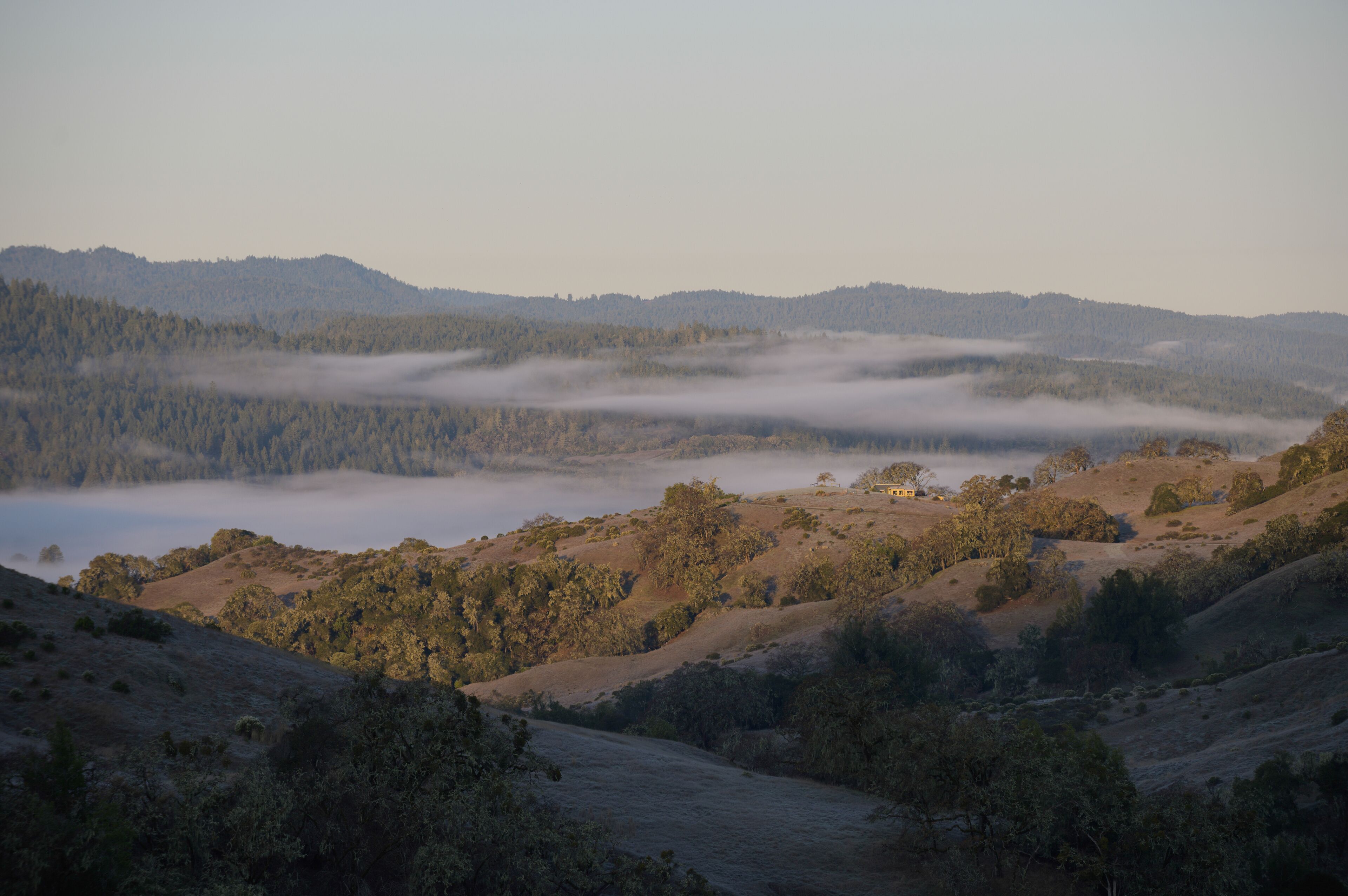 A valley with rolling hills, a small house on a hill, and a layer of fog over the valley.