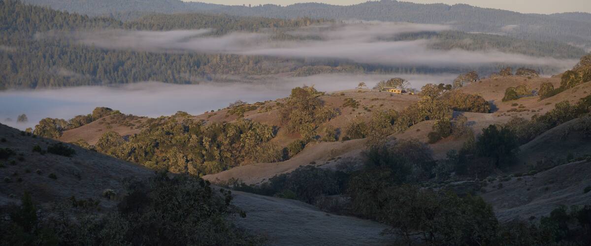 A valley with rolling hills, a small house on a hill, and a layer of fog over the valley.