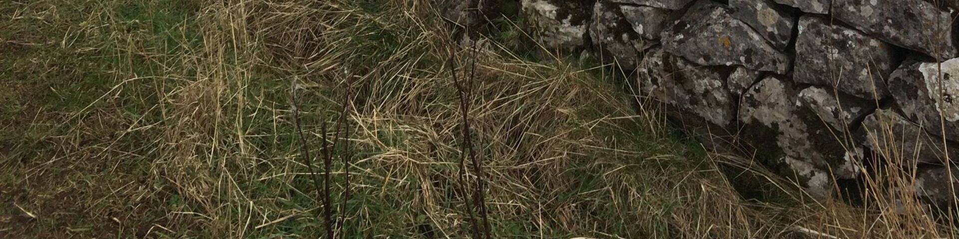 Pen Y Ghent with snow on top... I love the dales 💞