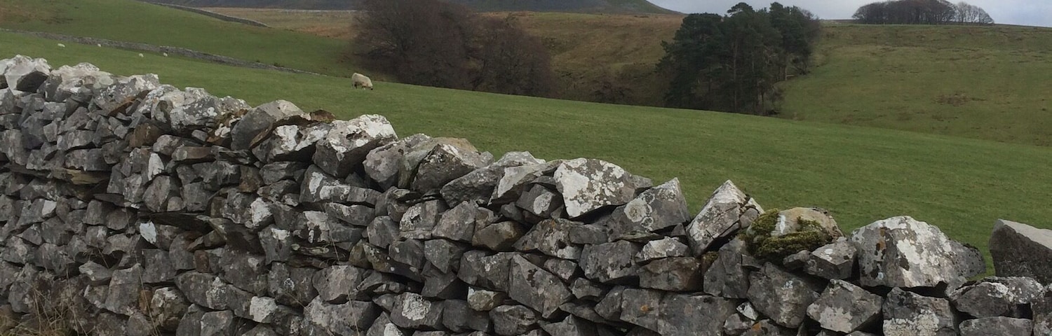 A stone wall in a grassy field with a hill and trees in the background.