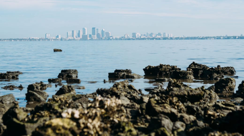 Tampa skyline from Ballast Point Park in Florida