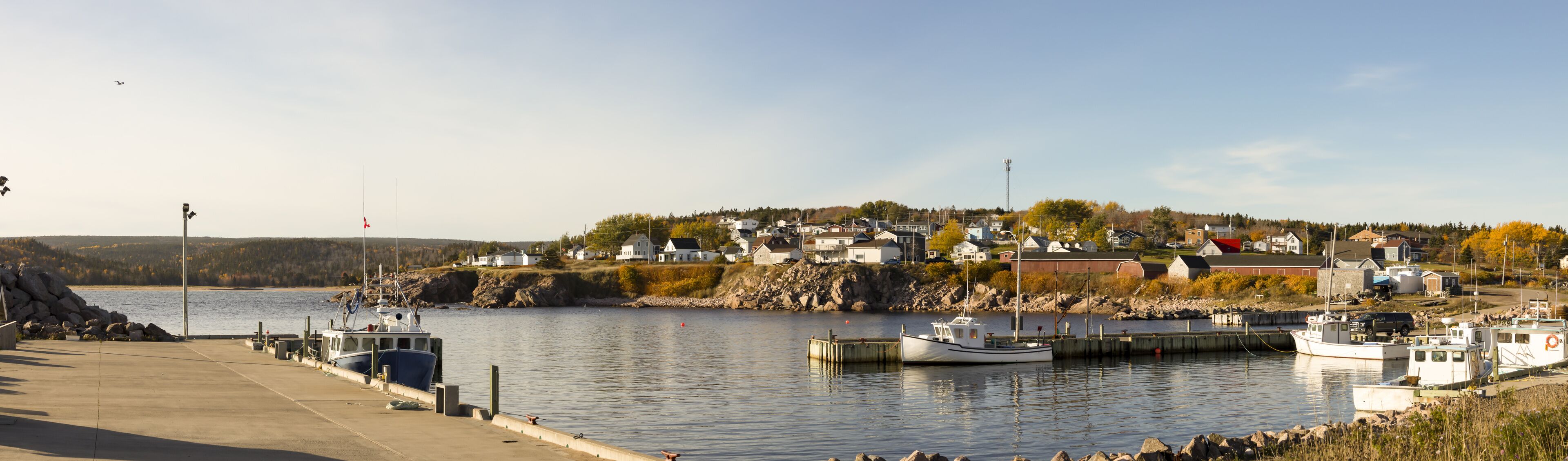 A harbor with boats docked, a calm water body, and a hillside with houses.