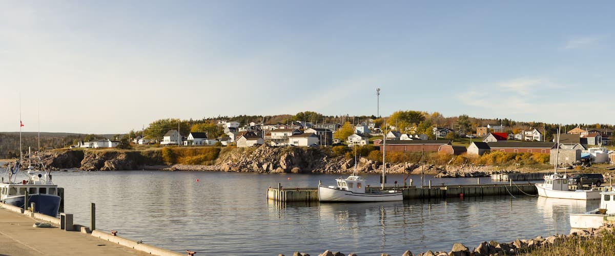 A harbor with boats docked, a calm water body, and a hillside with houses.