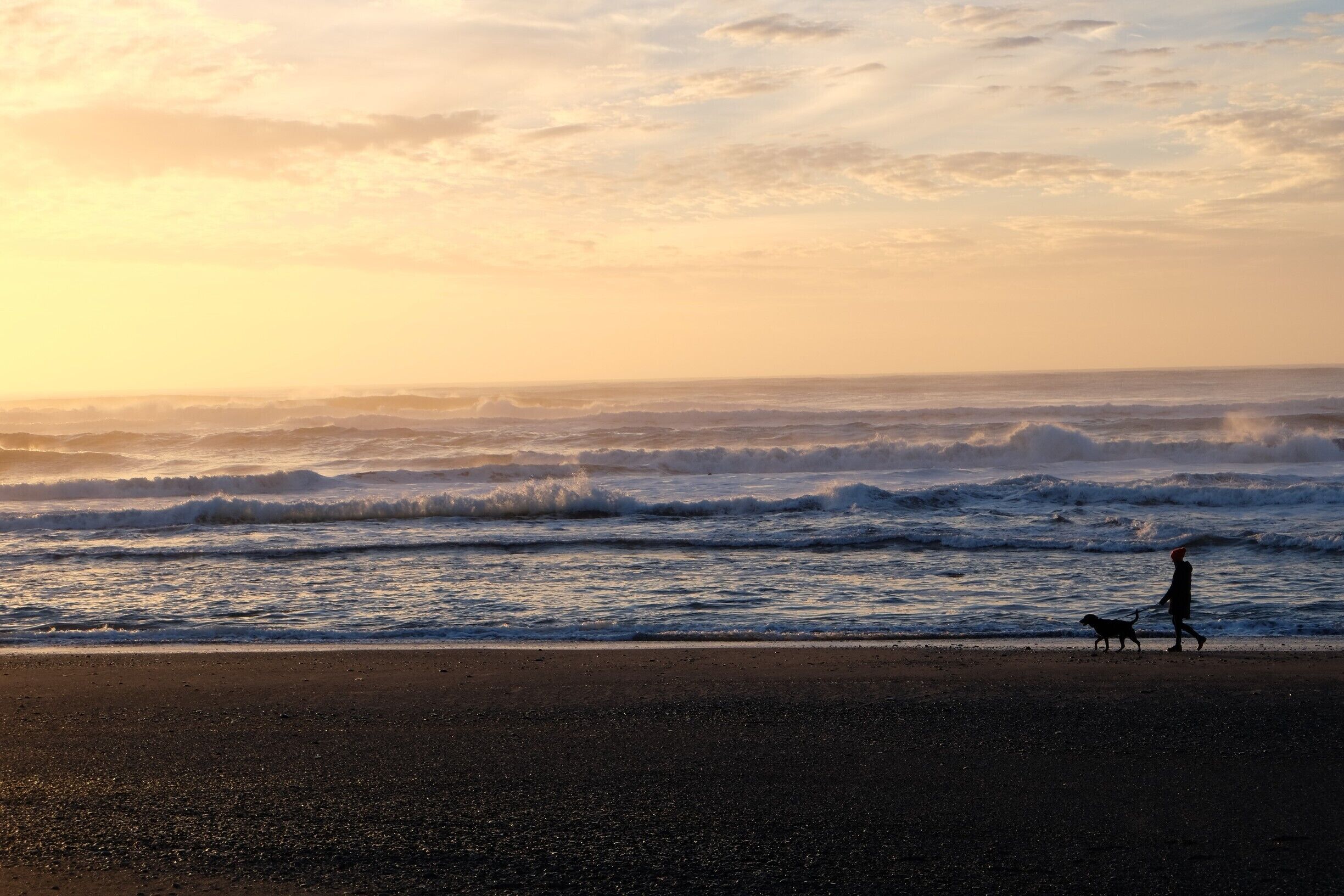 Keep your pup on a leash here, wouldn't want to irritate the bears.

#beach