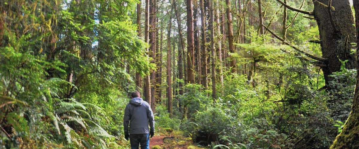 The sun finally decided to break through the clouds as we made our way through new growth forests in Redwood National Park. What a great way to start off 2015! #RedwoodNationalPark #California #NationalPark #TheGreatAmericanRoadTrip #travelerofworlds