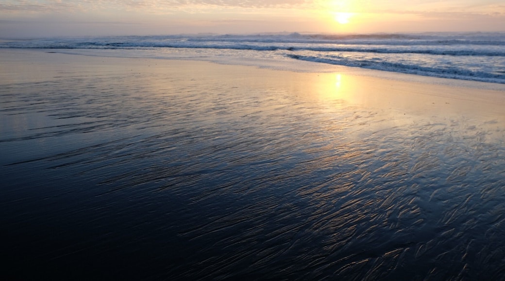 I don't qualify for this contest, but I can't resist throwing a few #beach photos in.