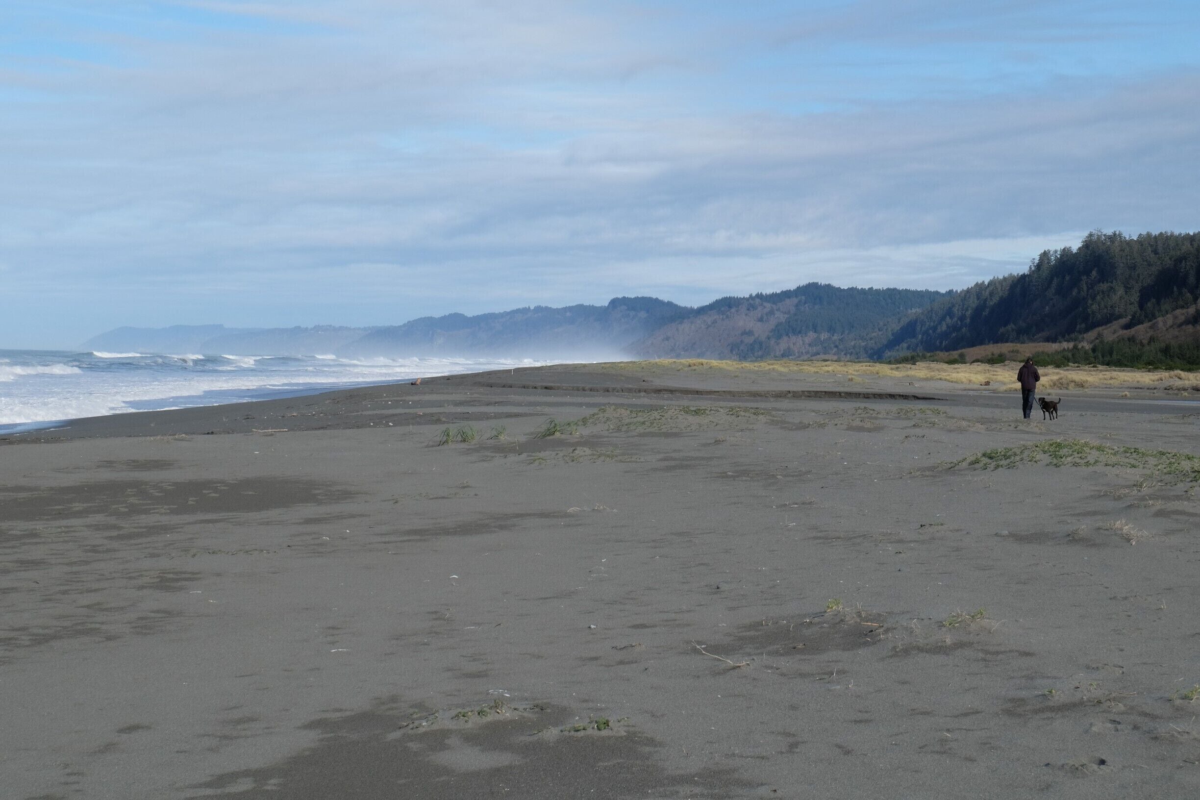 Small campground accessible by a narrow forest road 4 miles from Highway 101.  We had a site with nothing but sand between us and the waves.  Few people, and quite a few animal prints on the beach including bear and elk.