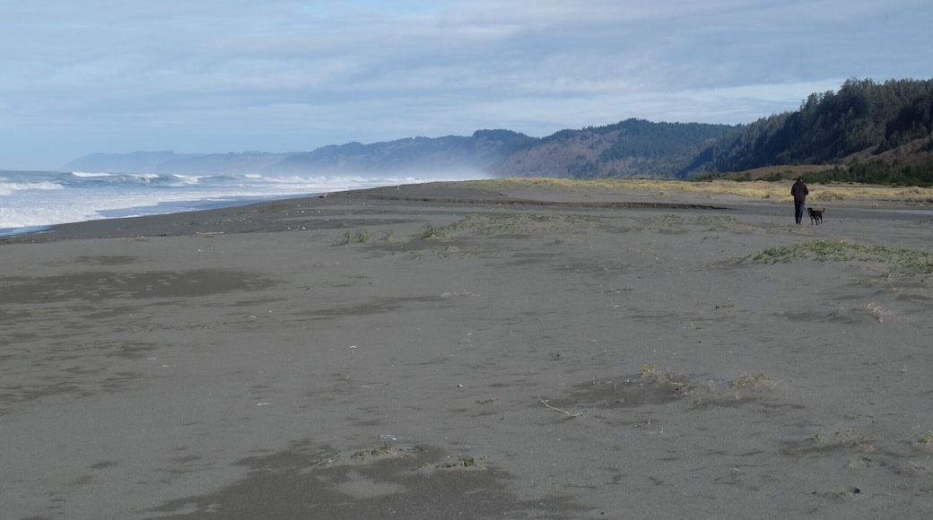 Small campground accessible by a narrow forest road 4 miles from Highway 101. We had a site with nothing but sand between us and the waves. Few people, and quite a few animal prints on the beach including bear and elk.