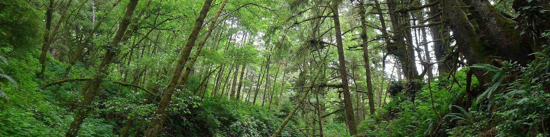 0_54a1c23c-bd27-4077-a640-04a7da541ae1_raw