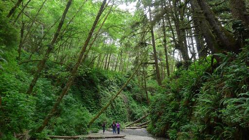 0_54a1c23c-bd27-4077-a640-04a7da541ae1_raw