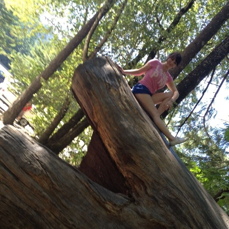 One of the few brave enough to climb atop the trunk of a fallen sequoia. ;) 