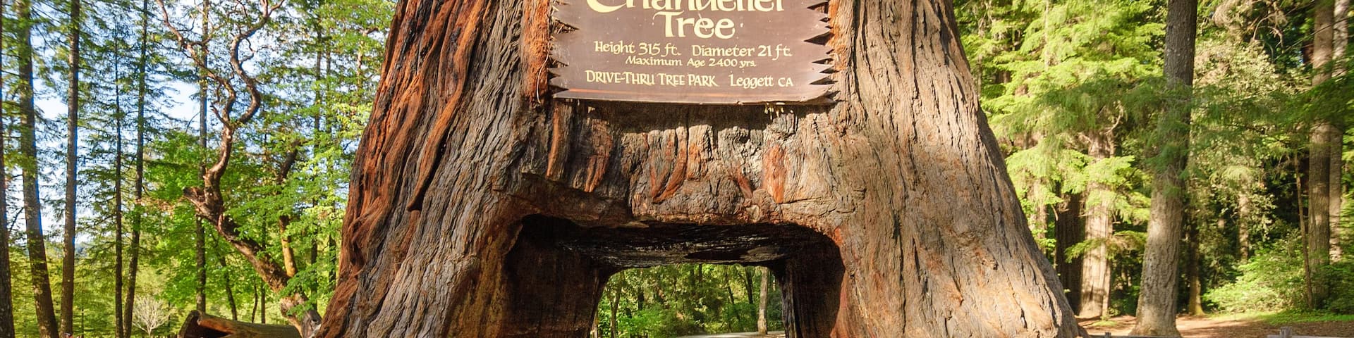 Chandelier Tree