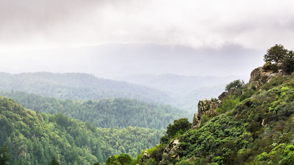 Panoramic view of the green hills and valleys of Santa Cruz mountains on a foggy day, Castle Rock State Park, San Francisco bay area, California