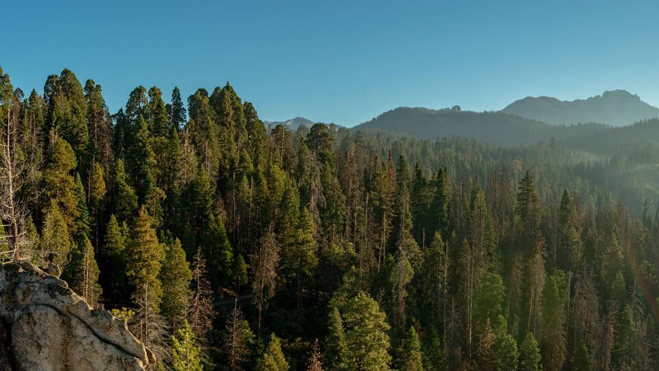 Morning in Sequoia National Park, USA
