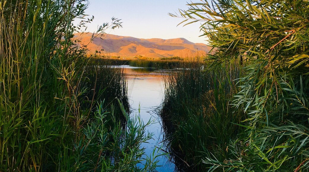 Sunset at Silver Creek Preserve