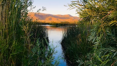 Sunset at Silver Creek Preserve