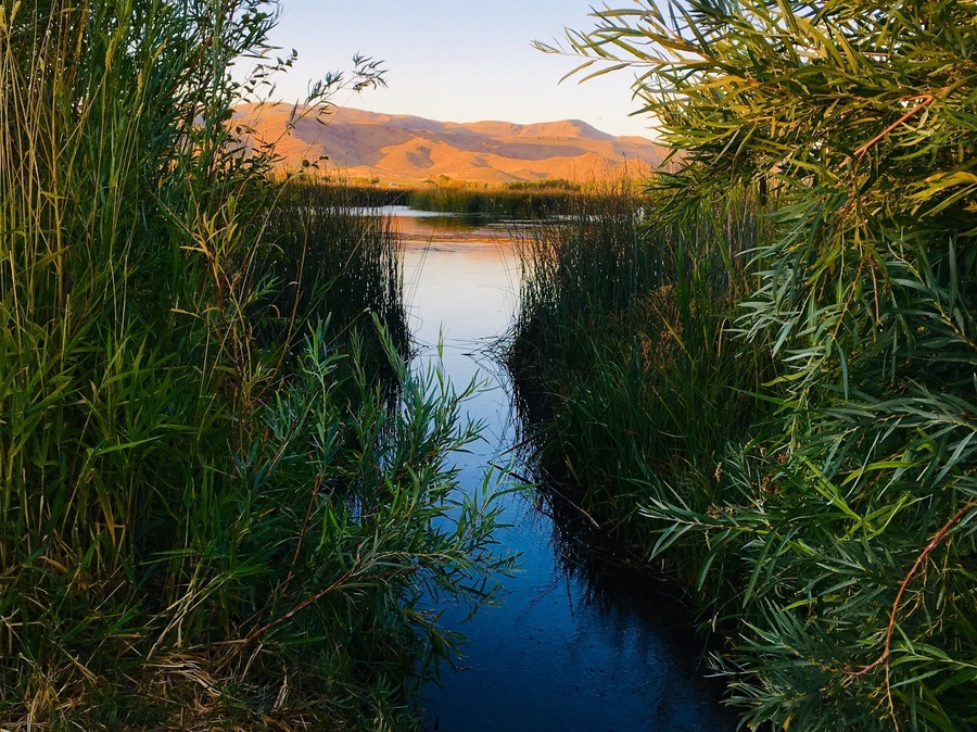 Sunset at Silver Creek Preserve