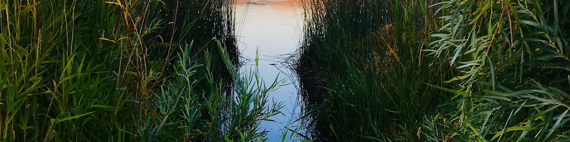 Sunset at Silver Creek Preserve