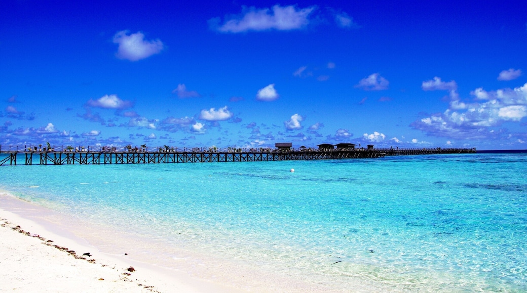 Pulau Pom Pom ( Pom Pom Island ) , Malaysia