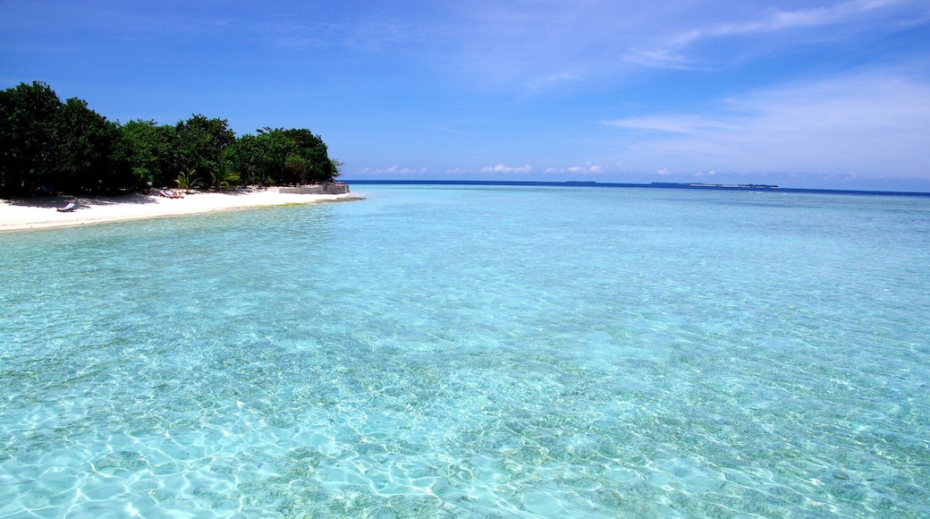 Pulau Pom Pom ( Pom Pom Island ), Malaysia