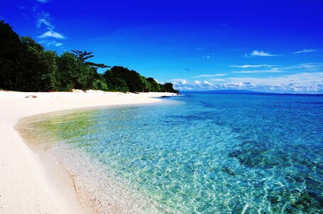 Klares blaues Meer, weißer Sandstrand und dichtes Grün.