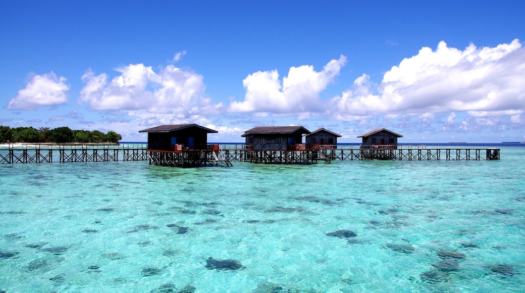 Pulau Pom Pom ( Pom Pom Island ) , Malaysia