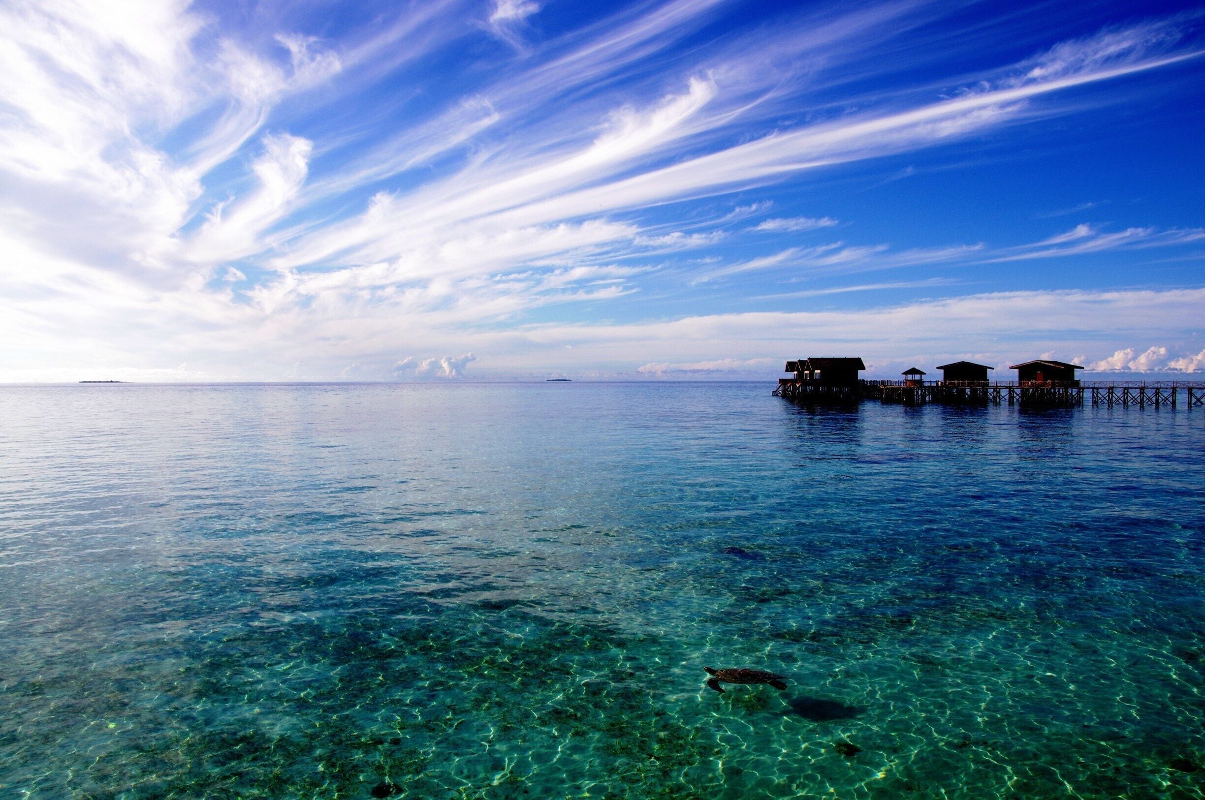 A clear blue sea with overwater bungalows and a turtle swimming.