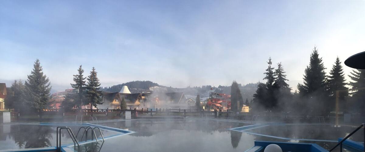 A hot spring area with a wooden deck, a pool, and steam rising from the water.